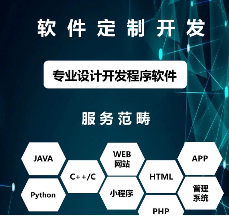 软件定制开发：解锁企业成长新引擎